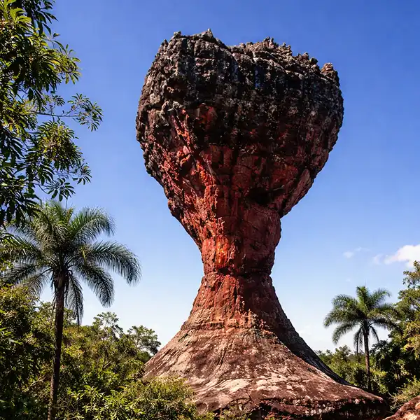 Paisagem com uma formação rochosa única que lembra um copo ou taça, rodeada por vegetação tropical e árvores palmadas sob um céu azul claro.